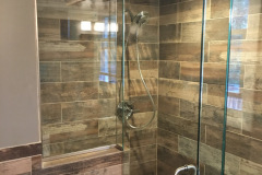 Shower Door #29