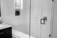 Shower Door #21