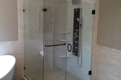 Shower Door #15