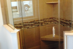 Shower Door #20
