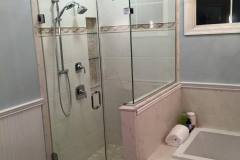 Shower Door #35