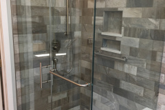 Shower Door #42