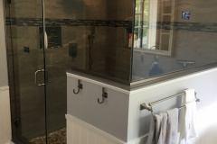 Shower Door #43