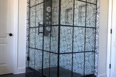 Shower Door #47