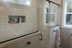 Shower Door #49