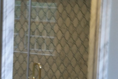 Shower Door #17