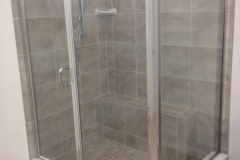 Shower Door #10